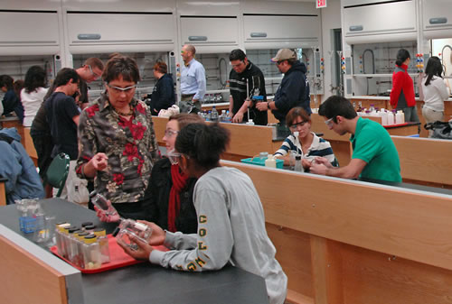 女士 Featured Image