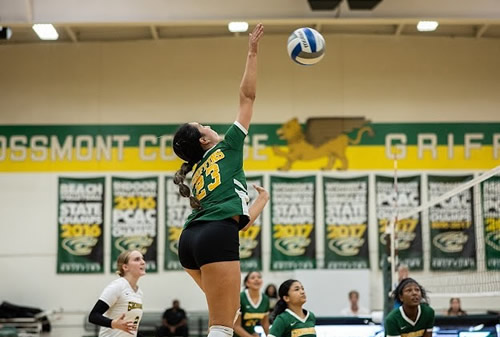 学生运动员 Featured Image