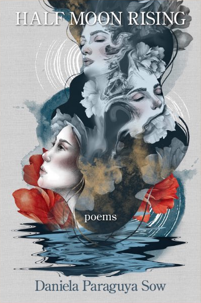 半月升, a book cover