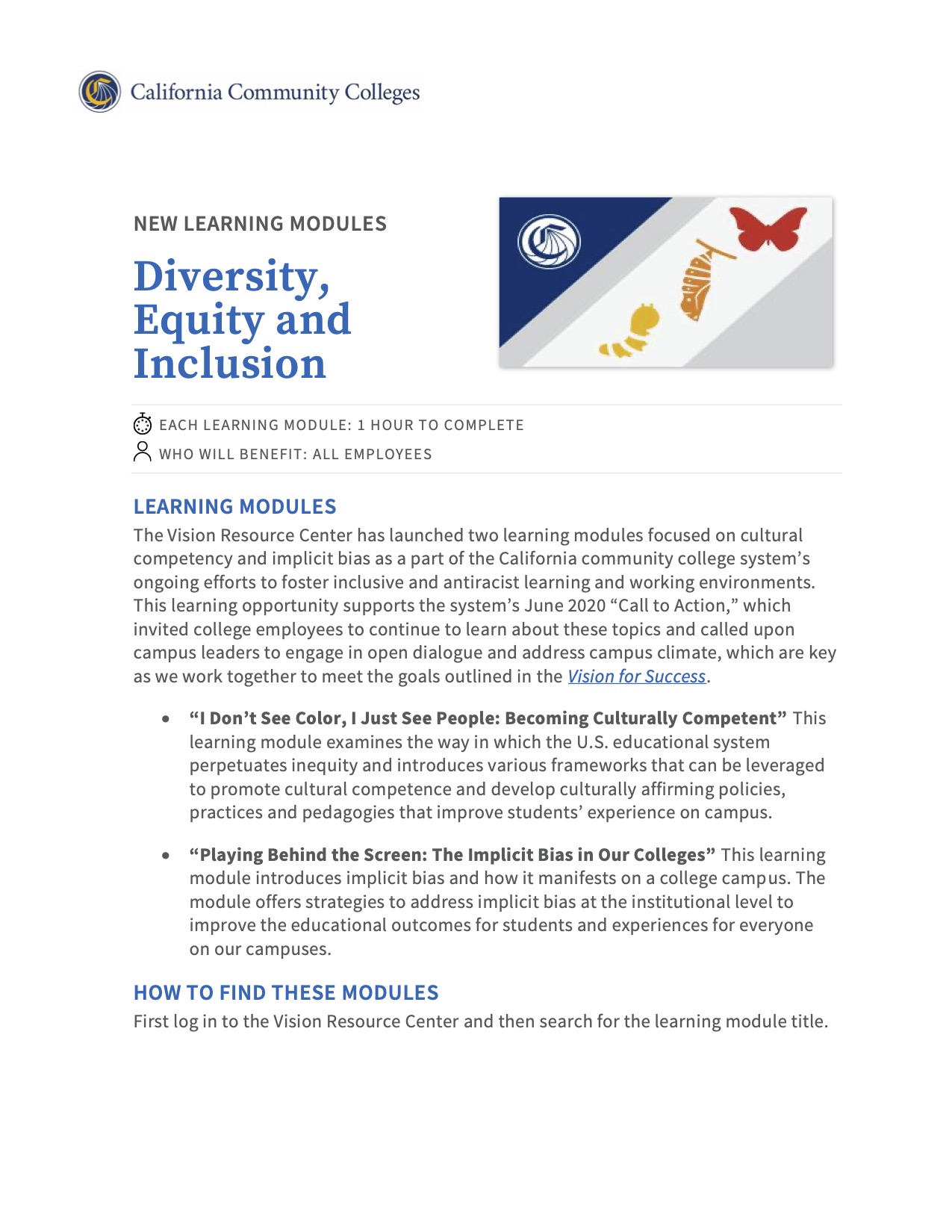 VRC DEI New Module Flyer