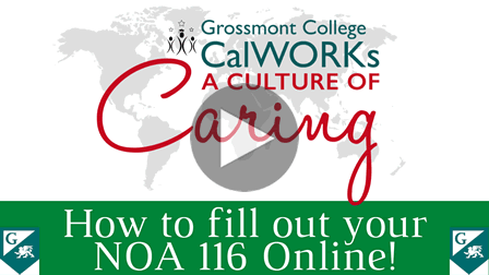 How fill out the NOA form 