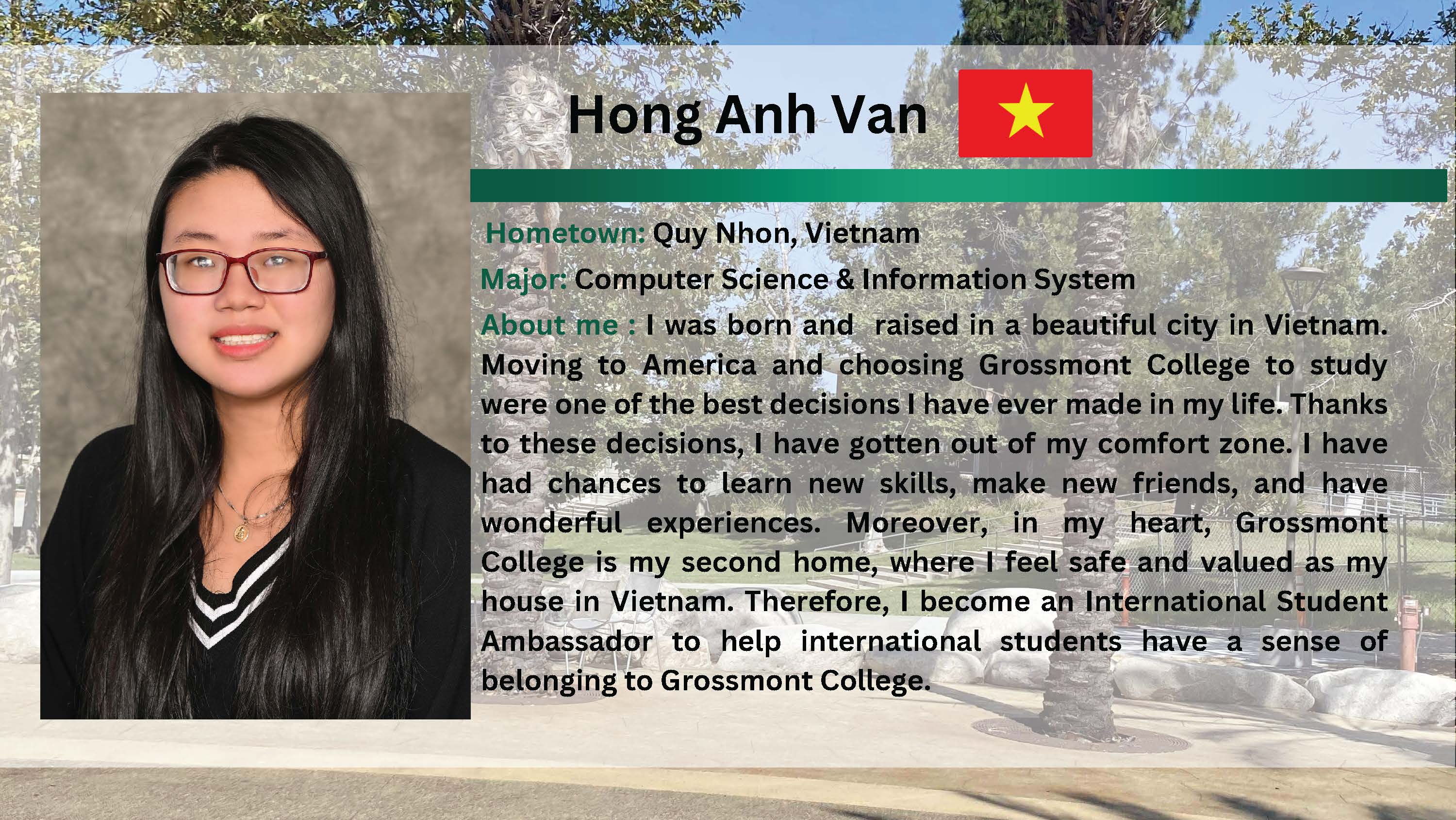 Hong Anh Van Profile