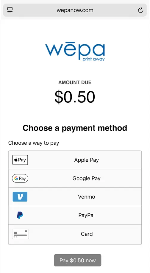 User 支付ment Options Screenshot of smartphone browser showing Wepa payment options